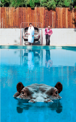 Sparks - Hippopotamus cassette cover art